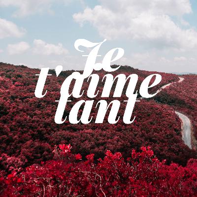 Je t'aime