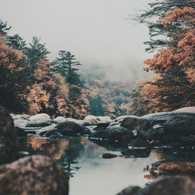 Siendo el motor del cambio