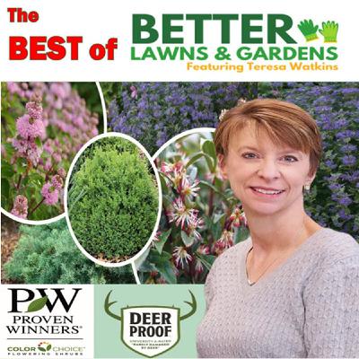 S2 Ep406: Better Lawns and Gardens- Hour 2 Deer Proof Plants with Proven Winners November 29, 2025
