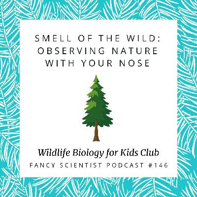 SMELL of the Wild: Observing Nature with Your Nose
