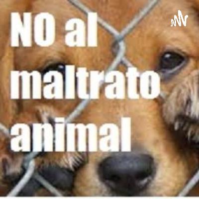 Maltrato Animal 1.2