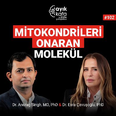 Mitokondrileri Onaran Molekül