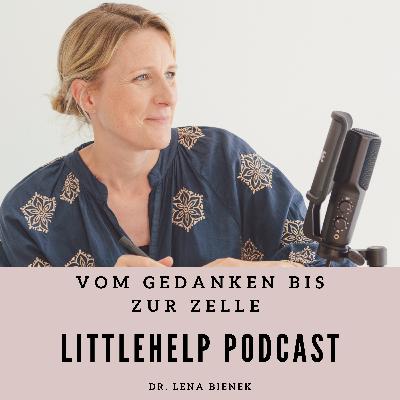 Bewusstes Schreiben (Journaling): Warum das Format egal ist, wenn die Wirkung zählt