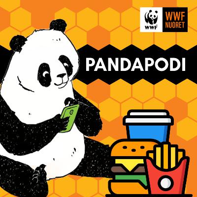 Pikaruoan vastuullisuus – kolme suurta vertailussa Pikaruoan vastuullisuus – kolme suurta vertailussa