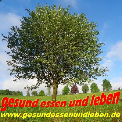 052 Bewegung, Sonne und noch mehr