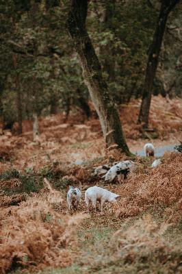 From Concrete to Wilderness with Jon Conradi