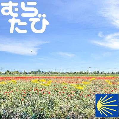 C#31 (D41) 大都市レオン 20230502