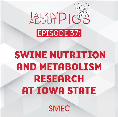 Swine Nutrition and Metabolism Research at Iowa State