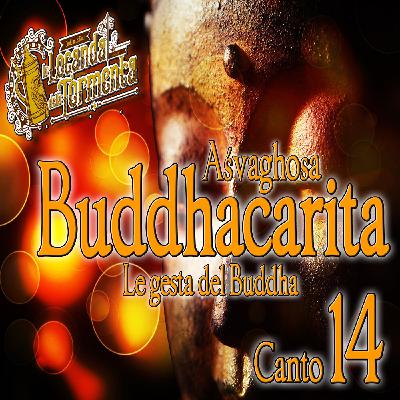 Audiolibro Le gesta del Buddha - Asvaghosa- Canto 14 Audiolibro Le gesta del Buddha - Asvaghosa- Canto 14