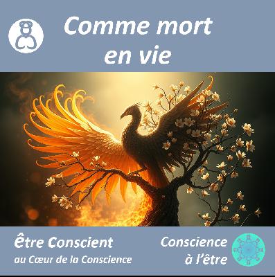 Comme mort en vie ~ podcast