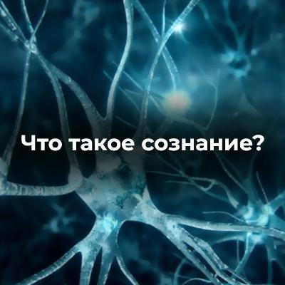 Что такое сознание? Мозг, наблюдатель, осознанность и зачем это нужно знать