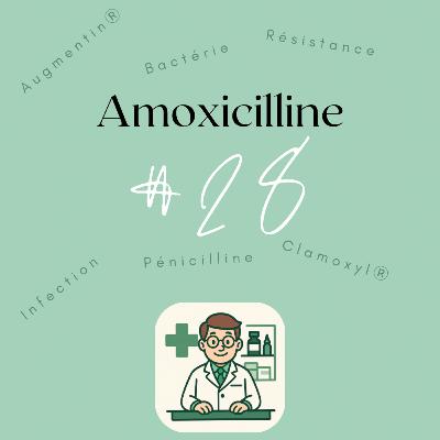 #28 L’amoxicilline