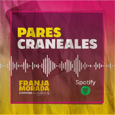PARES CRANEALES