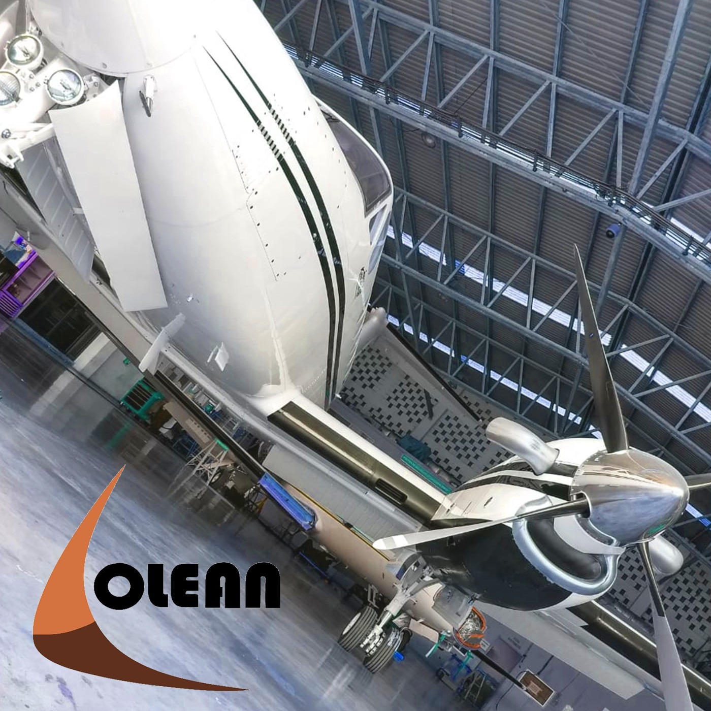 OLEANADVISORS