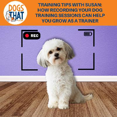 Training Tips From Susan: How Recording Your Dog Training Sessions Can Help You Grow As A Trainer