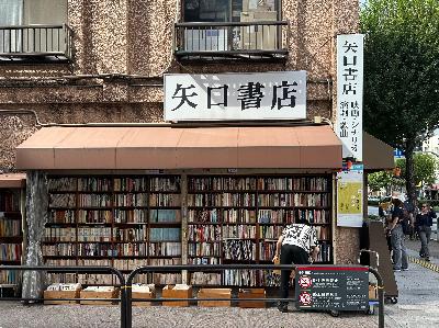🎧 B1/B2 | La chiave del viaggio: “parlare” la lingua del posto, o almeno provarci! (Parte 2)