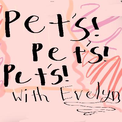 More pets!