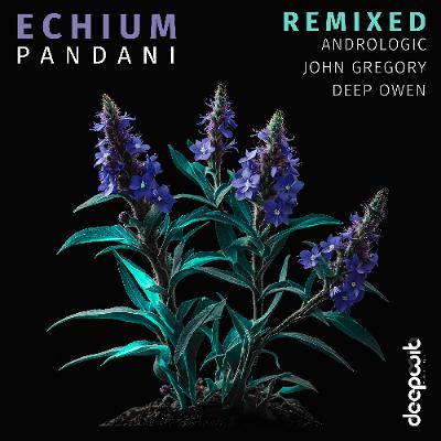 Pandani - Echium REMIXED