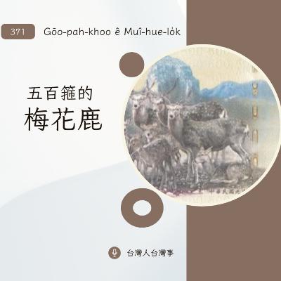 372 五百箍的梅花鹿 372 五百箍的梅花鹿