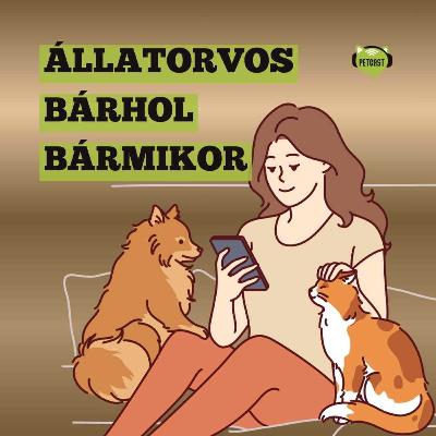 Online állatorvosi chat: mikor elég az online konzultáció, és mikor kell személyesen állatorvoshoz menni?