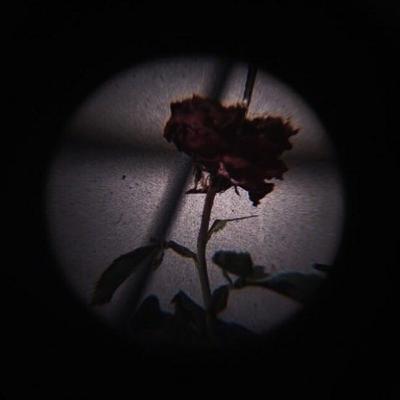 In the beginning ...