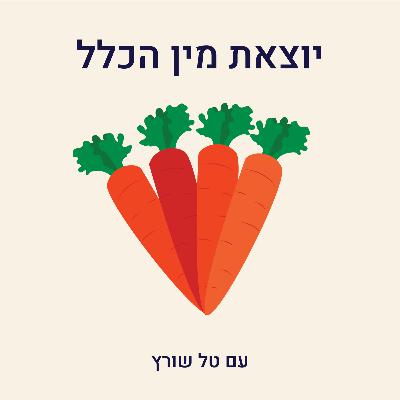 פרק 17- על פונדקאות