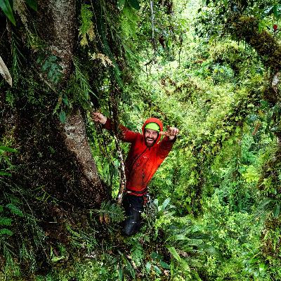 Dispatch: Waldo Etherington, Trees