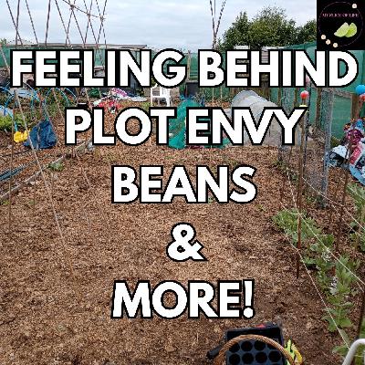 2. Allotment News: Feeling Behind, Plot Envy & Other Gardening Stories!