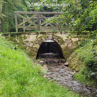 Walking to the Stream