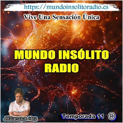829/11. El negocio de la sangre.