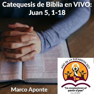 Catequesis de Biblia en VIVO: Juan 5, 1-18 — Marco Aponte
