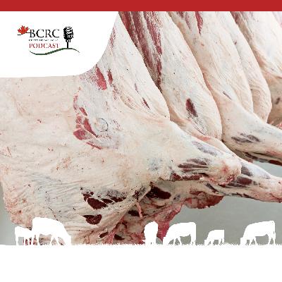 Episode 99: Can Grading Cameras Predict More than Overall Carcass Yield?