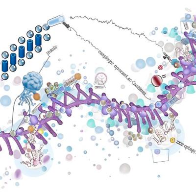 RNA Processing I: Splicing (CMB part 12)