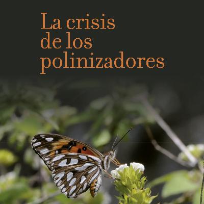 La crisis de los polinizadores, con Anna Traveset 5x06