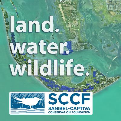 Top Ten Questions about the Caloosahatchee Estuary