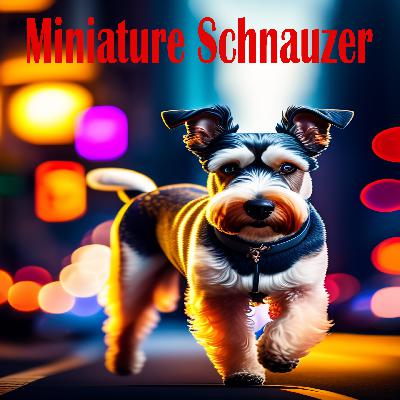 Animals Central/All About Dogs Episode 123 - Miniature Schnauzer
