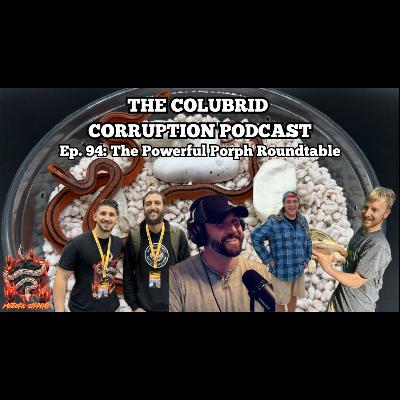 The POWERFUL Porphyracea Roundtable | The Colubrid Corruption Podcast | Ep. 94