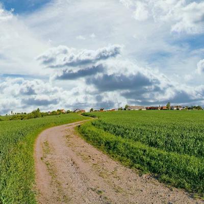 Uncertainty, More Than the Weather, Clouds Planting Season