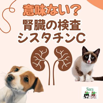 #1002. 慢性腎臓病の検査：シスタチンCは意味ない？（質問に回答）