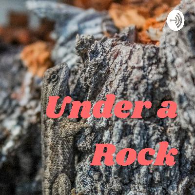 Episode 9: Sixteen Candles Episode 9: Sixteen Candles