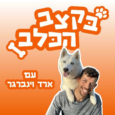 פרק 4 - ריקודים עם כלבים עם סתוית בודין