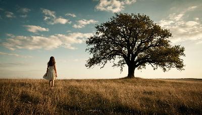 Lone Tree