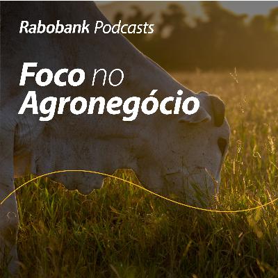 Perspectivas 2026 | Pecuária de Corte Perspectivas 2026 | Pecuária de Corte