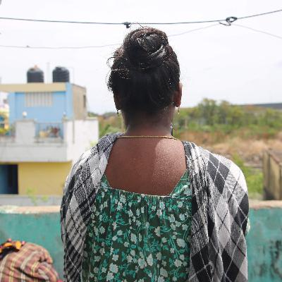 India’s black market for human eggs