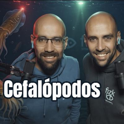 Cefalópodos con Maren Arriarán | FIZK
