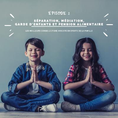 Épisode 1 - Faciliter une séparation avec l'aide d'une médiatrice familiale. Épisode 1 - Faciliter une séparation avec l'aide d'une médiatrice familiale.
