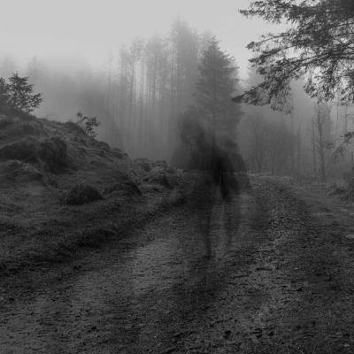 Why disappearance research matters