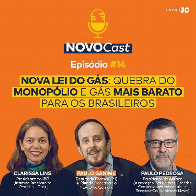 #14 Nova Lei do Gás: Quebra do monopólio e gás mais barato para os brasileiros