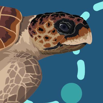 How Turtles Unlock Memories They Didn't Know They Had