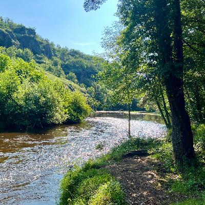 Am Fluss